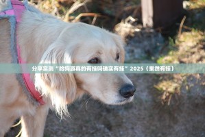 推荐一款“澳门新萄京真的确实有挂其实有挂”原来可以开挂