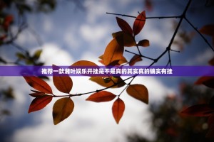 推荐一款湘叶娱乐开挂是不是真的其实真的确实有挂