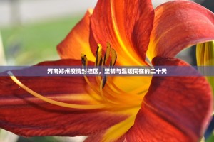 河南郑州疫情封控区，坚韧与温暖同在的二十天