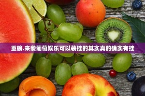 分享实测爱玩辅助透视软件分享真的有挂给你