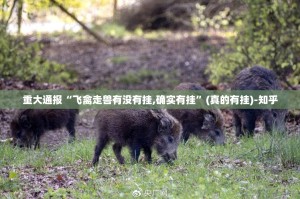 今日重大通报微乐保皇为什么一直输原来可以开挂