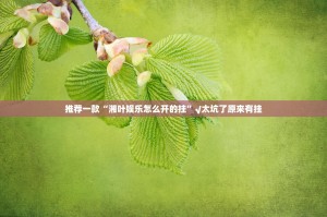 推荐一款“湘叶娱乐怎么开的挂”√太坑了原来有挂
