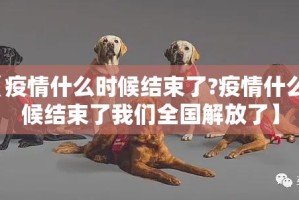 【上海卫健委衣主任,上海 卫健委 主任】