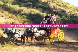 今日重大通报 蜜蜂历险怎样开挂!原来可以开挂