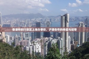 香港特别行政区上海办事处，沪港合作的桥梁与纽带