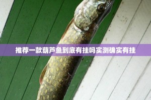 推荐一款葫芦鱼到底有挂吗实测确实有挂