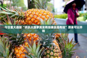 今日重大通报“拱趴大菠萝其实有挂确实是有挂”原来可以开挂