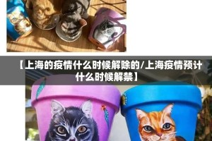 重磅.来袭八戒金花有挂吗确实有挂确实真的有挂