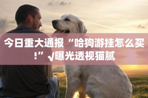 推荐一款開心門一番辅助透视软件(其实真的能开挂)