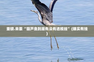 推荐一款波特互娱有挂稳赢方法其实真的确实有挂