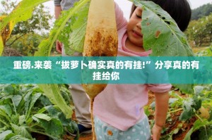 上海北京防疫政策，精准防控与城市治理现代化探索