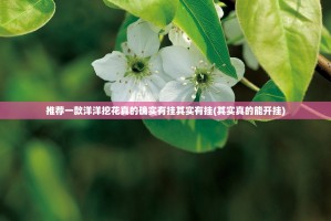 重大通报pokernow是不是真的有挂2025√其实是有挂