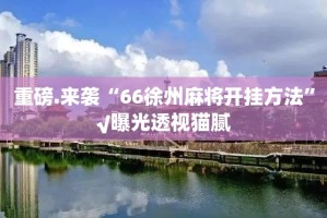 重磅.来袭“66徐州麻将开挂方法”√曝光透视猫腻