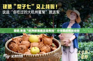 分享实测“中至窝龙其实有挂确实是有挂”√必胜开挂神器