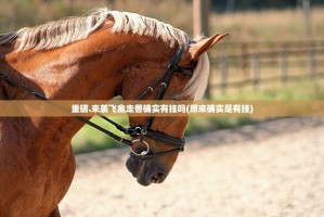 重磅.来袭飞禽走兽确实有挂吗(原来确实是有挂)