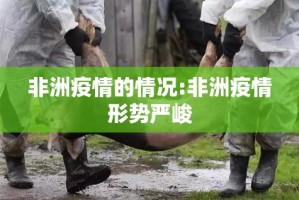 重大通报美猴王有没有挂,确实有挂确实真的有挂