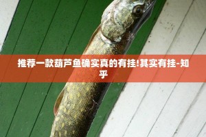 推荐一款葫芦鱼确实真的有挂!其实有挂-知乎