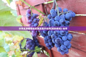 分享实测葡萄娱乐其实能开挂吗(真的有挂)-知乎