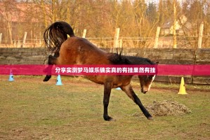 分享实测梦马娱乐确实真的有挂果然有挂