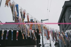 重磅.来袭中至上饶麻将510K确实有挂可以开挂√曝光透视猫腻