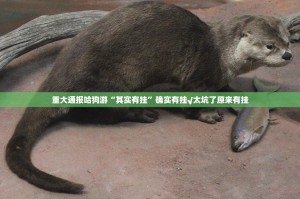 重大通报哈狗游“其实有挂”确实有挂√太坑了原来有挂