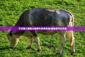 今日重大通报心悦拱牛怎样开挂!原来真可以开挂