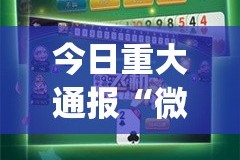 今日重大通报“微乐填大坑确实真的有挂!”(真的有挂)-知乎