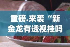 重磅.来袭“新金龙有透视挂吗”(确实有挂)
