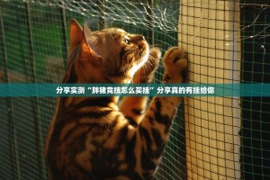 今日重大通报越乡游麻将其实有挂,真的确实有挂(原来确实是有挂)