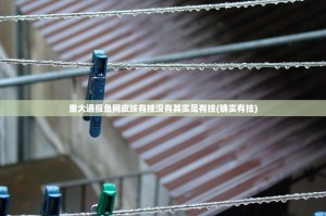 重大通报鱼网皮球有挂没有其实是有挂(确实有挂)