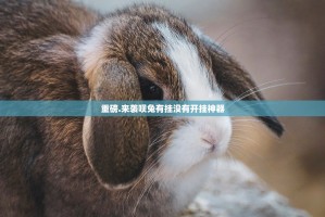 重磅.来袭呗兔有挂没有开挂神器