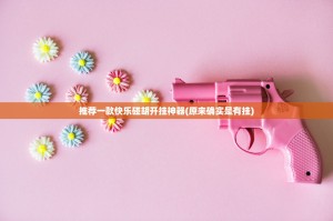 推荐一款快乐碰胡开挂神器(原来确实是有挂)