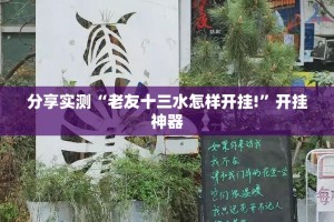 分享实测“三晋休闲“确实有挂”果然有挂”开挂神器