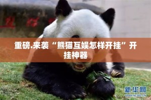 重磅.来袭微乐云南麻将其实是有挂的(原来确实是有挂)