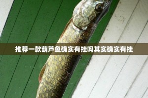 推荐一款友愉棋牌外卦神器是真的吗”开挂神器