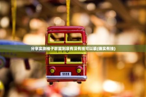 分享实测柚子联盟到底有没有挂可以装(确实有挂)