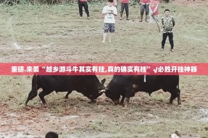 分享实测威信茶馆确实有挂吗其实真的确实有挂