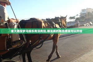 重大通报梦马娱乐有没有挂,确实真的有挂原来可以开挂
