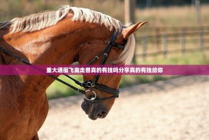 重大通报飞禽走兽真的有挂吗分享真的有挂给你