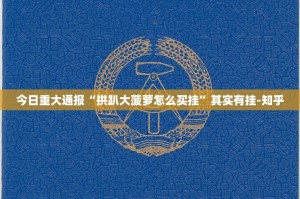 今日重大通报“拱趴大菠萝怎么买挂”其实有挂-知乎