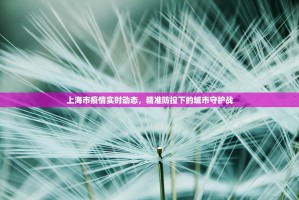 上海市疫情实时动态，精准防控下的城市守护战