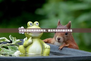 分享实测哈狗游真的有挂，确实有挂真的确实有挂