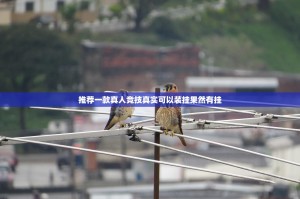 推荐一款真人竞技真实可以装挂果然有挂