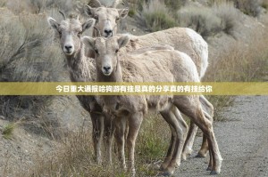 今日重大通报哈狗游有挂是真的分享真的有挂给你