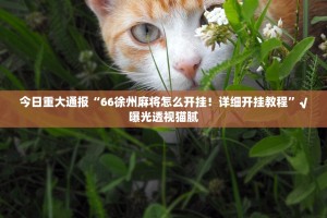 重磅.来袭经典联盟挂软件”√确实真的有挂