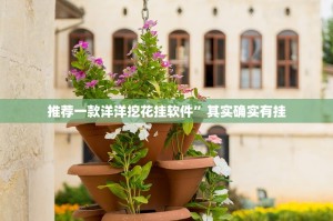 推荐一款洋洋挖花挂软件”其实确实有挂
