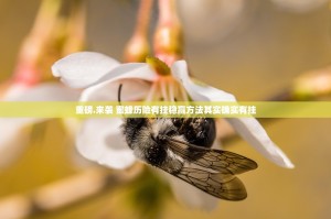 重大通报蜂娱棋牌2开挂透视辅助软件√必胜开挂神器