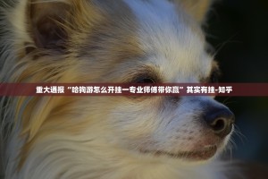 重磅.来袭66徐州麻将老是输真的有挂!√其实是有挂