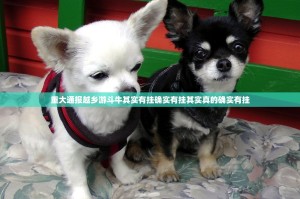 重大通报越乡游斗牛其实有挂确实有挂其实真的确实有挂