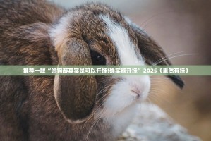 重磅.来袭新九天确实可以开挂吗开挂神器